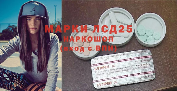 прущие грибы Абаза