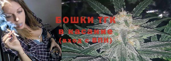 ПСИЛОЦИБИНОВЫЕ ГРИБЫ Тавда