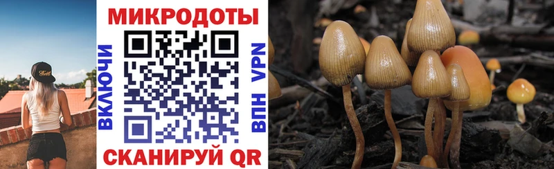 купить закладку  Красноярск  Галлюциногенные грибы ЛСД 