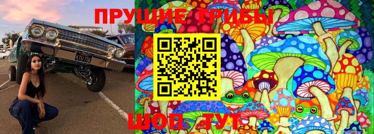 Галлюциногенные грибы прущие грибы Красноярск