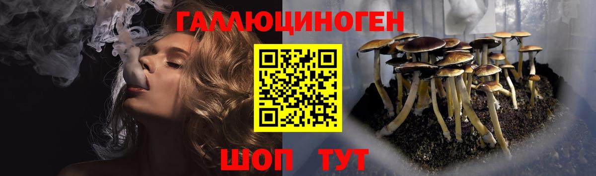 Красноярск  Псилоцибиновые грибы MAGIC MUSHROOMS  Вход с VPN 